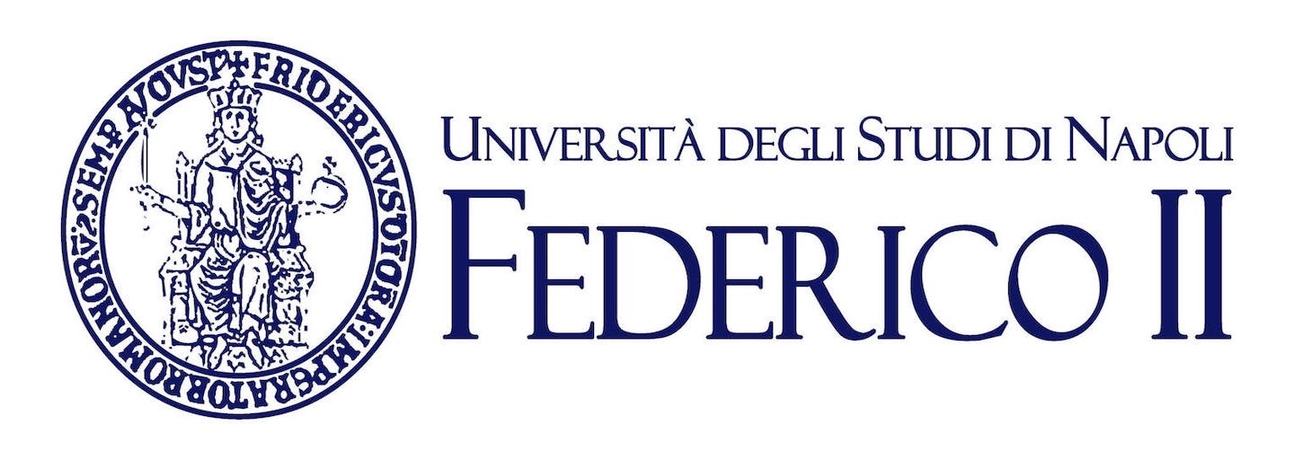 17/11/2022 – (Job Opportunity): conferimento incarichi di insegnamento (Università degli Studi di Napoli Federico II)